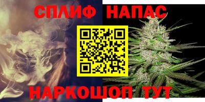 прущие грибы Краснокаменск