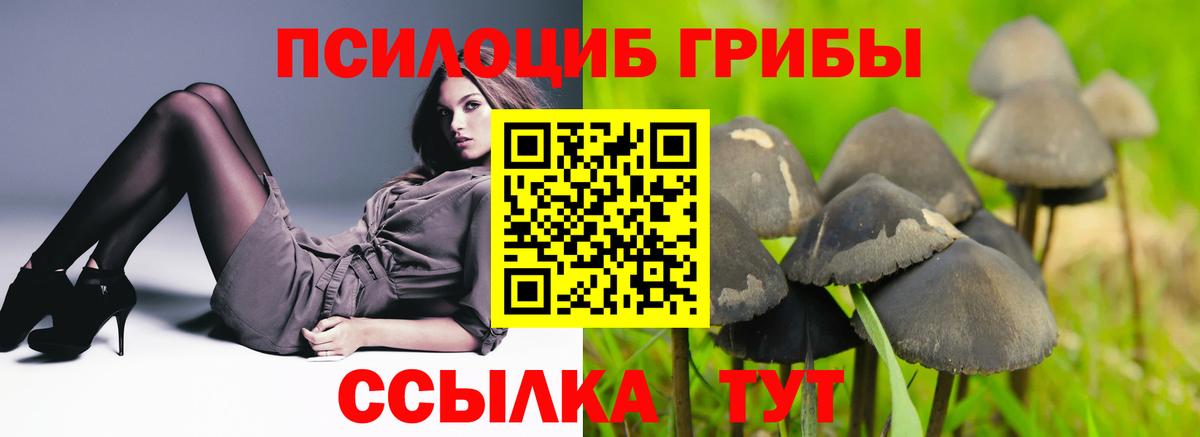 наркошоп  Вход с VPN  Калач-на-Дону  Галлюциногенные грибы GOLDEN TEACHER  Галлюциногенные грибы Cubensis 